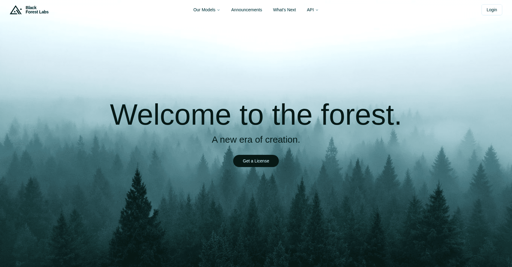 Black Forest Labs Screenshot